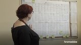 "Сигнальні голосування" депутати СН проводять у чатах, - Третьякова