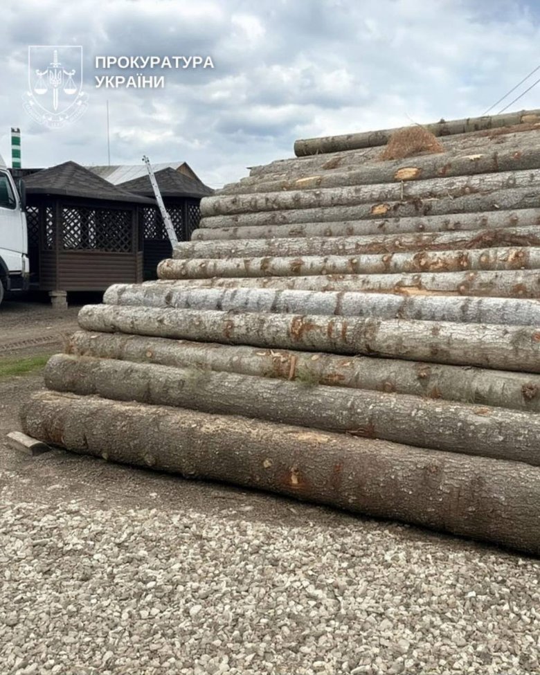 На Буковині викрили "тіньовий" експорт лісу до Молдови
