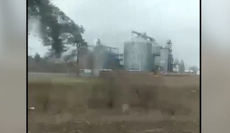 Окупанти на Луганщині знищили 25 тисяч тонн зерна. ВIДЕО