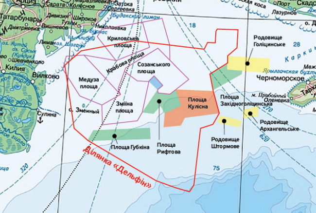 Чому шельфові родовища Дельфіну можуть відійти віртуальним інвесторам 01