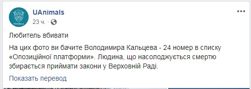 Людина, яка насолоджується смертю: в мережі зявилися фото кандидата від ОП - За життя Кальцева з убитими ним рідкісними африканськими тваринами 09