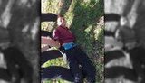 стрельба