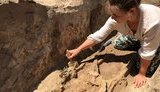 Археологи знайшли нерозграбоване поховання скіфського воїна віком близько 2,5 тисячі років. ФОТОрепортаж