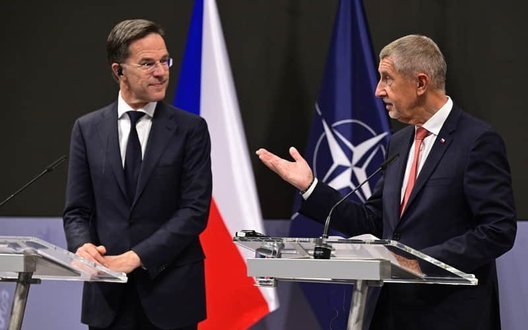 Чехія виконуватиме зобов’язання перед НАТО, - Бабіш