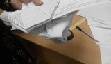 выборы протокол опора