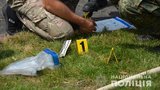 Во дворе дома экс-нардепа Розенблата в Житомире взорвалась граната. ФОТО