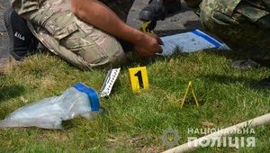 Во дворе дома экс-нардепа Розенблата в Житомире взорвалась граната. ФОТО