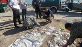браконьерство