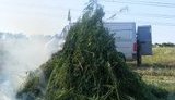 наркотики