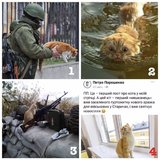 Порохокот