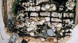 Украинские строители нашли в Чехии клад в 250 тысяч евро. ФОТО