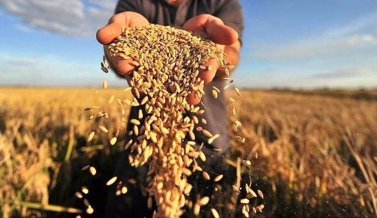 Євросоюз після вступу України може обмежити фінансування агросектору