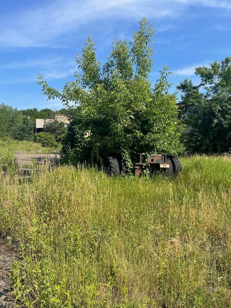 Фонд держмайна продав колишній спиртзавод на Вінничині