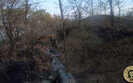Storming enemy trenches in Pokrovsk direction