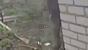 Более 2,5 тыс. оккупантов уничтожили за три месяца СБС 412-й бригады "Nemesis". ВИДЕО