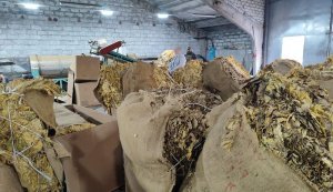 Раскрыта подпольная фабрика по изготовлению сигарет, изъято оборудование и продукция на 47 миллионов гривен. ФОТОрепортаж