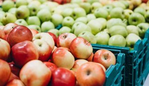 Україна почне експортувати яблука в Індію. Загальна вартість може сягнути 500 мільйонів на рік