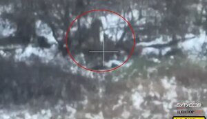 FPV-дрон "Диких Шершнів" ліквідував двох окупантів, які билися між собою у кущах. ВIДЕО