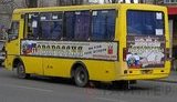 Вслед за "сталинобусами" в Одессе пустили "имперобусы" - маршрутки с гербом Российской империи. ФОТО