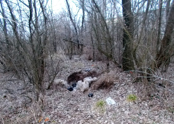 У Бахмутському районі виявлено гранати, магазини і патрони 01 У Бахмутському районі виявлено гранати, магазини і патрони 01