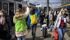 біженці,нідерланди