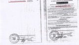 земля даниленко