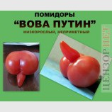 Достижения селекции