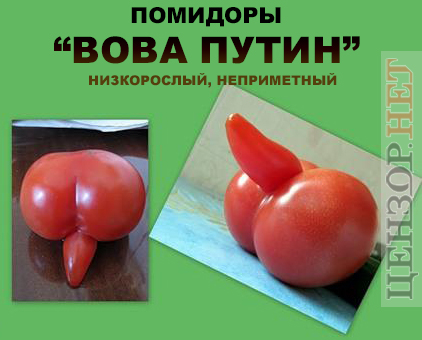 Достижения селекции