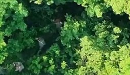 Прикордонники взяли в полон 4 окупантів