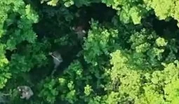 Прикордонники взяли в полон 4 окупантів