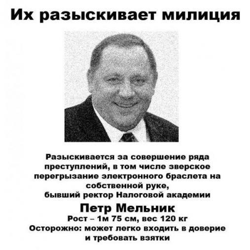 мельник