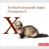 Буква 