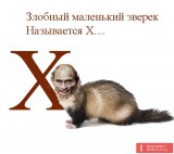 Буква 