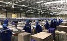 Avangard holding stunned over law enforment's allegations claiming two of its factories don't exist