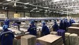 В агрохолдинге "Авангард" удивлены подозрениями правоохранителей о том, что две его фабрики якобы не существуют