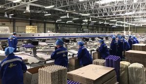 Avangard holding stunned over law enforment's allegations claiming two of its factories don't exist