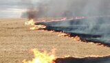 Що відомо про мораторій на стягнення боргів з бізнесу у зоні бойових дій