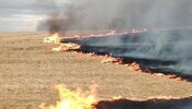 Що відомо про мораторій на стягнення боргів з бізнесу у зоні бойових дій
