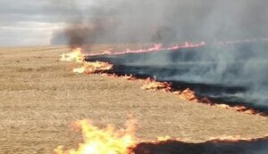 Зеленський підписав закон про мораторій на стягнення боргів з аграріїв у зоні бойових дій