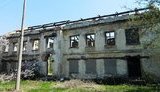 Донбасс - в наследие цыганам: гниющие бараки, полуразрушенные хибарки и смуглые детишки. ФОТОрепортаж