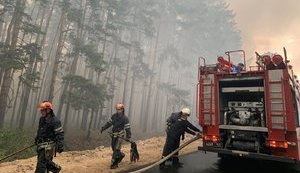 Лесной пожар уничтожил 110 домов на Луганщине, 5 человек погибли (обновлено)