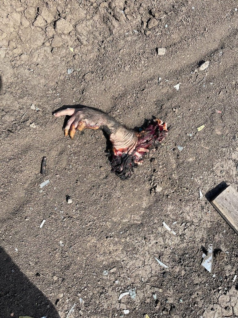 Десантники уничтожили группу российских диверсантов, передвигавшихся на гражданских авто 04 Десантники уничтожили группу российских диверсантов, передвигавшихся на гражданских авто 04