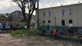 Кличко - очільник дроворубів, на Арсенальній зрізали 17 здорових дерев, - нардеп СН Гурін. ФОТО