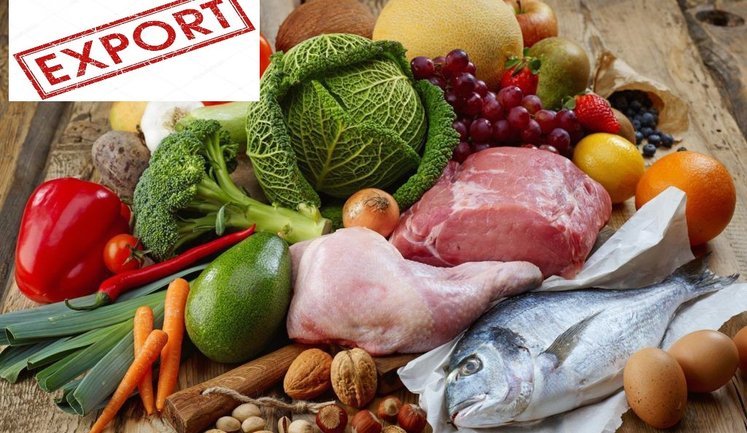 Польща, Угорщина, Словаччина та Австрія вимагають обмежень для української агропродукції. Що відомо?