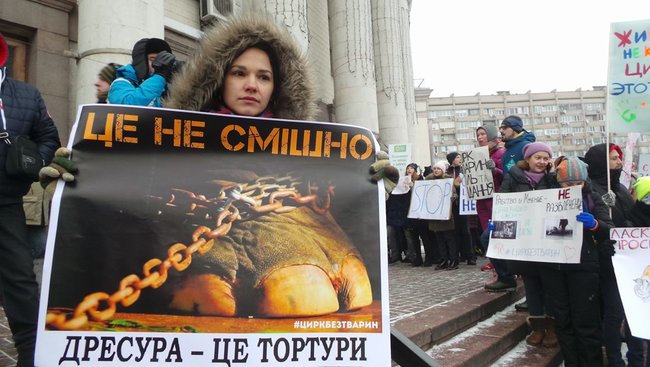 Страждання - це НЕ смішно! У Києві протестували проти використання тварин у цирку 26