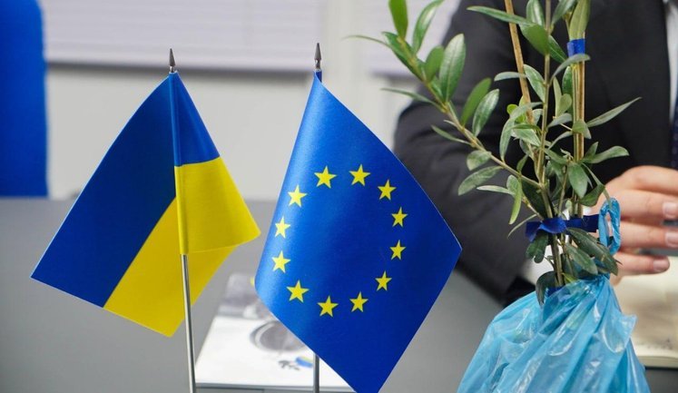 У Херсонській області з’явиться плантація оливкових дерев