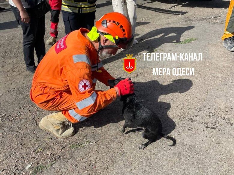 Наслідки удару по Одесі 24 червня