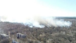 Пожежу в Чорнобильській зоні ліквідовано, - ДСНС