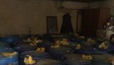 Партия спирта стоимостью 2,8 миллионов гривен изъята из незаконного оборота на Виннитчине. ФОТО