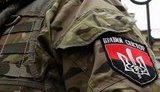 сектор правый
